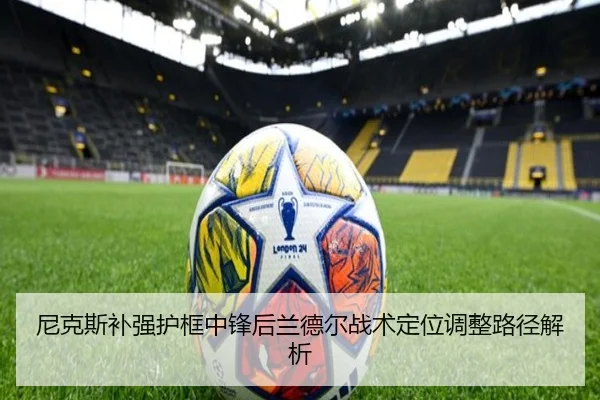 尼克斯补强护框中锋后兰德尔战术定位调整路径解析